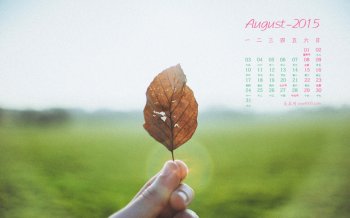 2015年8月日历唯美枫叶护眼高清电脑桌面壁纸下载