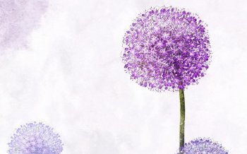 浪漫简约插画背景电脑壁纸