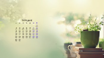 2016年5月日历养眼绿色植物高清图片下载