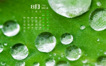 2015年8月日历壁纸绿色护眼植物上的水滴特写图片