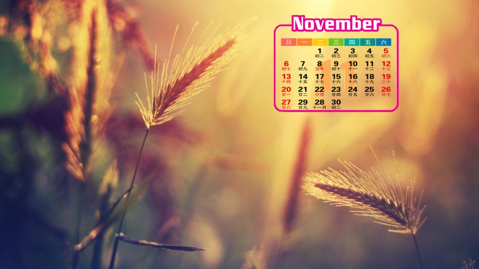 黄色图片风格小清新Lomo风格高清桌面壁纸清新怡人可下载