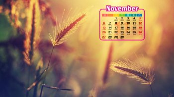 黄色图片风格小清新Lomo风格高清桌面壁纸清新怡人可下载