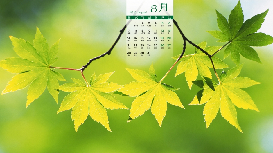 好看且养眼的的绿色护眼壁纸高清图