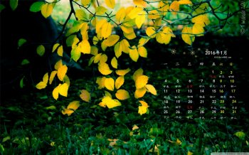 2016年1月日历唯美的树叶桌面壁纸