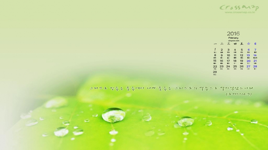 绿色护眼清新电脑高清壁纸图片