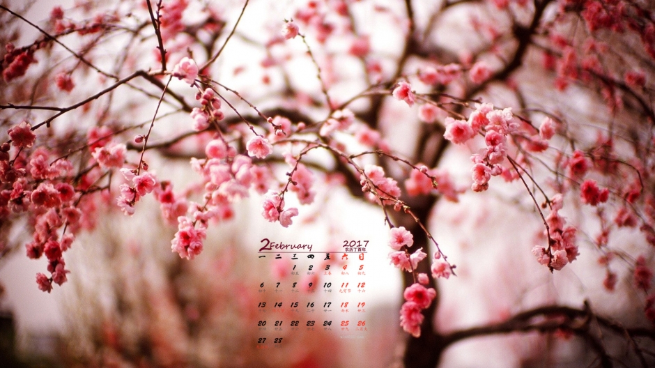 唯美梅花高清日历壁纸