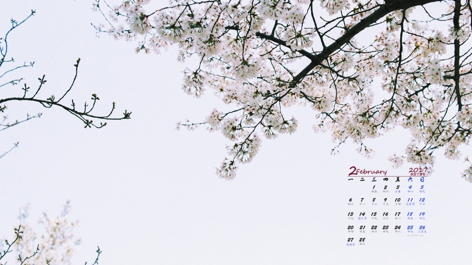 唯美梅花高清日历壁纸