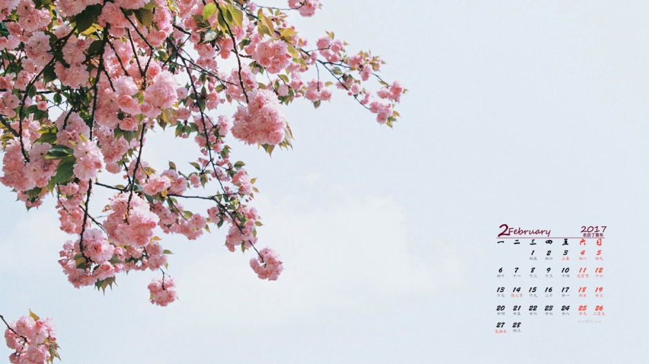 唯美梅花高清日历壁纸