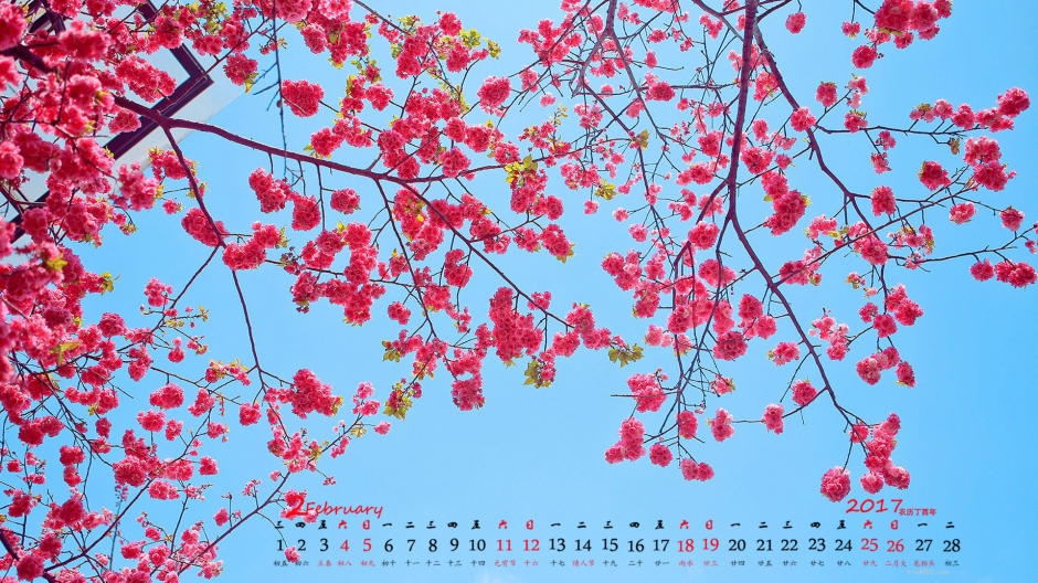 唯美梅花高清日历壁纸