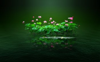 梦幻安静的素雅荷花背景图