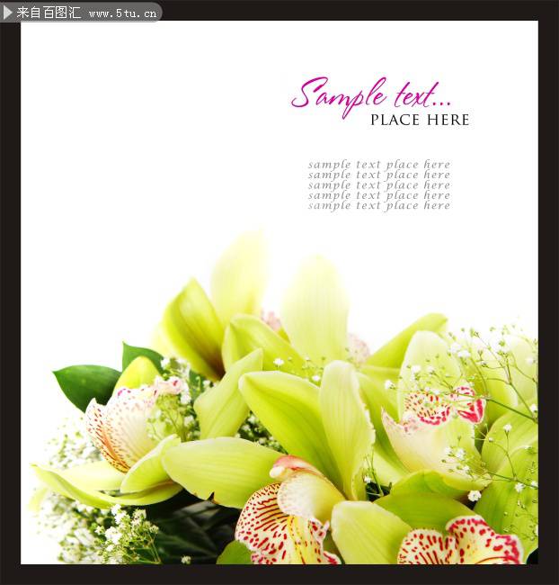 唯美清新花卉ppt背景图片