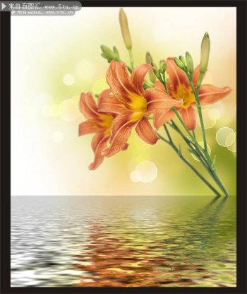 唯美百合花背景图片素材