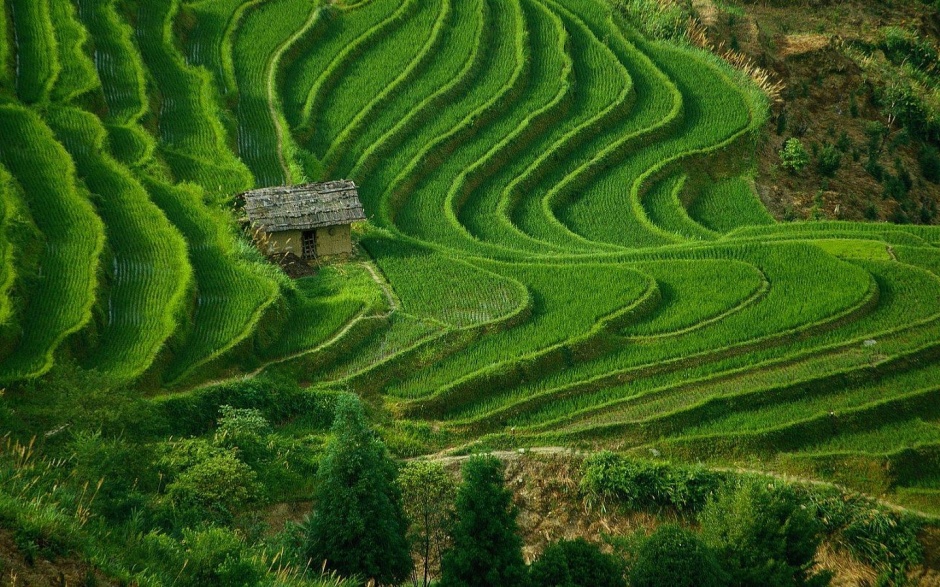 清爽舒适的绿色田园风景图片背景