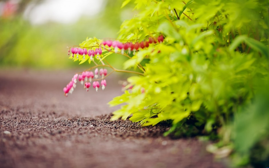 春日淡雅清新绿色植物ppt背景图片