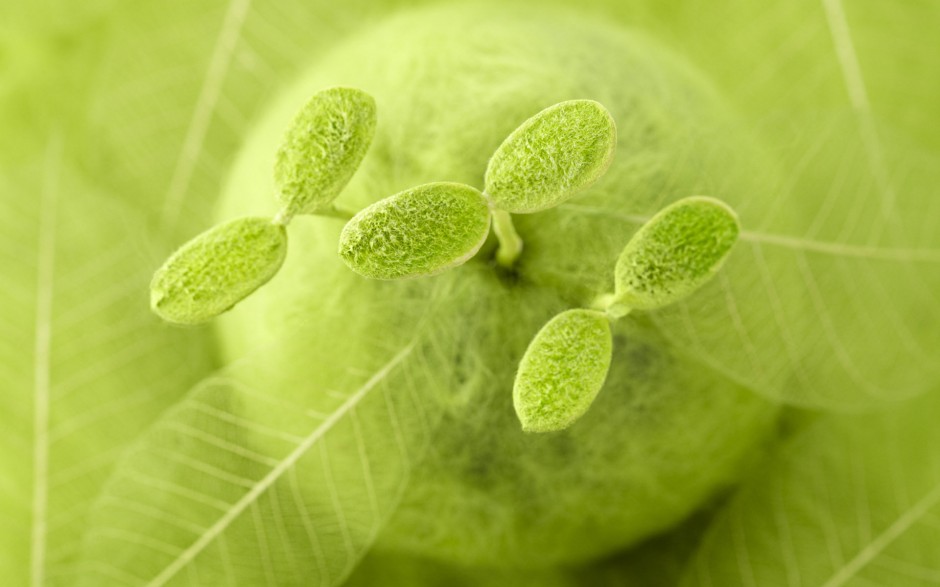 春日淡雅清新绿色植物ppt背景图片