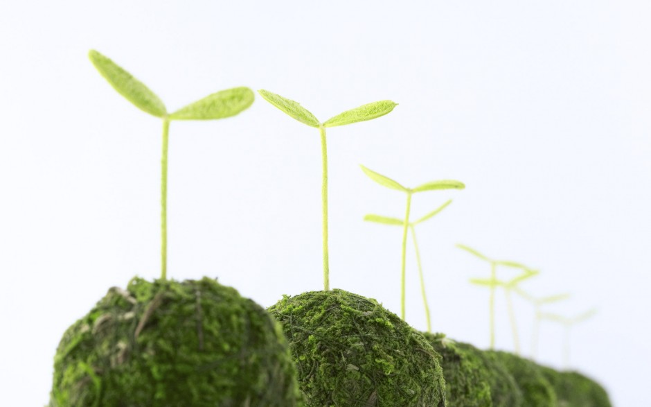 春日淡雅清新绿色植物ppt背景图片