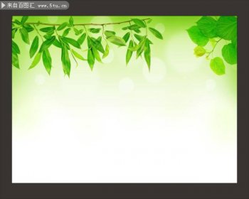 绿色叶子ppt背景图片