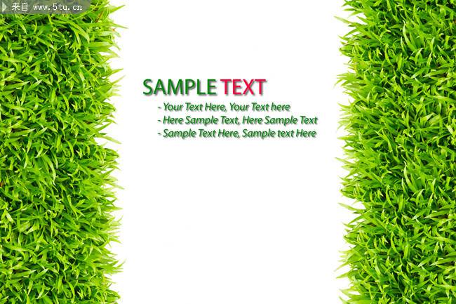 清新绿草空间背景图片