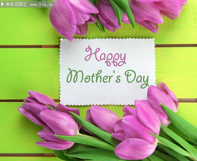 郁金香花朵ppt背景图片