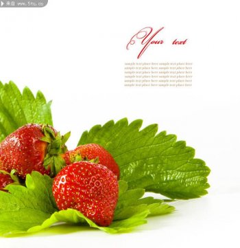 纯色简洁的背景图片素材