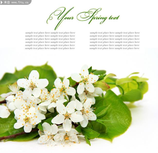 纯色简洁的背景图片素材