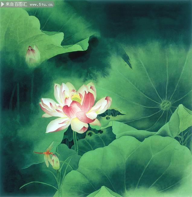 超清古风淡雅荷花背景图