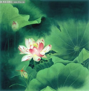 超清古风淡雅荷花背景图