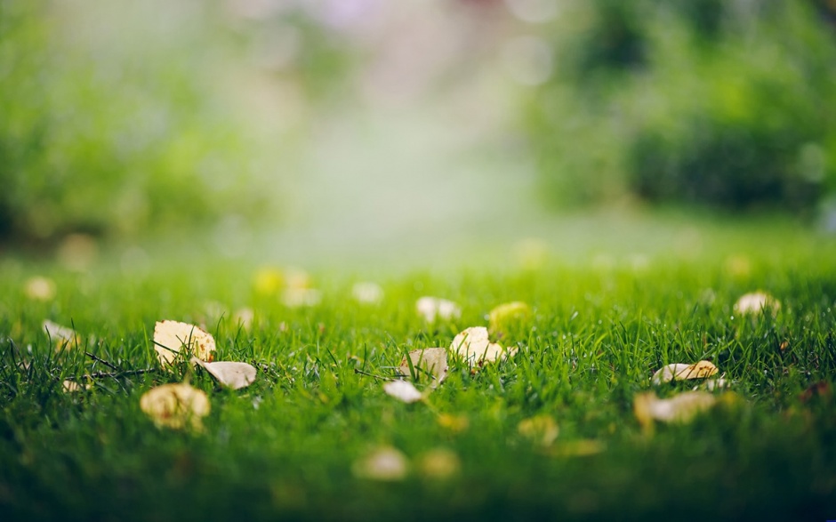 好看的绿草地ppt背景图