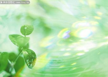 清新绿叶ppt背景图片