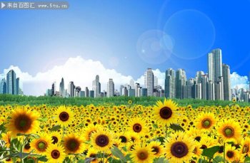 超清唯美向日葵的ppt背景图片