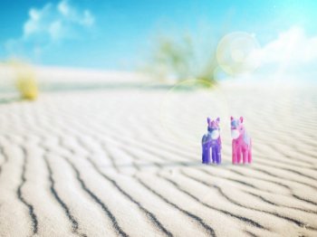 清新素雅沙滩小马娃娃背景图片