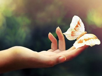 指尖上的花毕业设计ppt背景模板