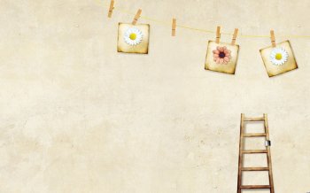 清新淡雅精美ppt背景图片