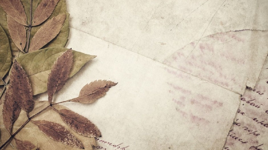 一片叶子唯美简约背景图片