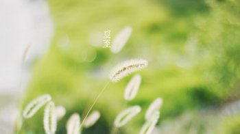 唯美绿色小清新背景图片