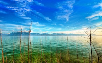 好看清新的自然风光背景图片