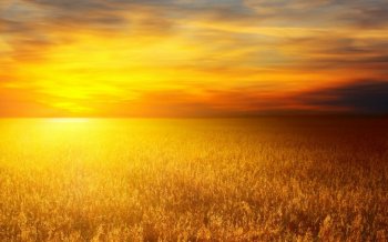 金色云彩高清唯美背景图片