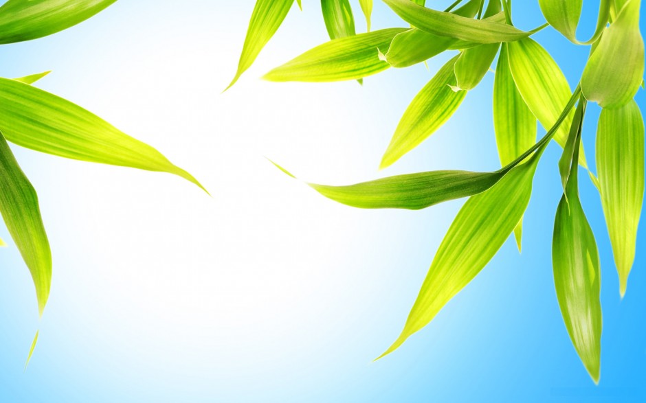 九月最新高清绿色桌面背景图片