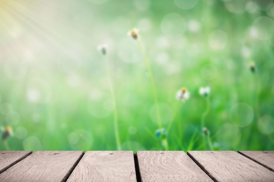 春天的景色ppt背景图片