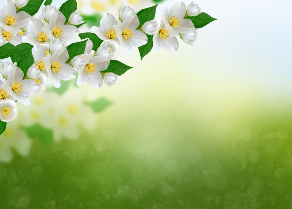 春天的景色ppt背景图片