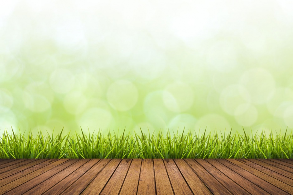 春天的景色ppt背景图片