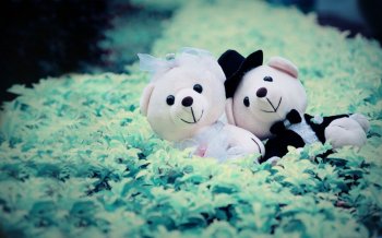 最新唯美爱情ppt背景图片