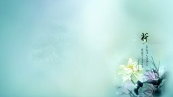 中国风淡雅荷花背景图片
