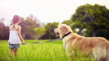 遛狗的小女孩唯美背景高清大图