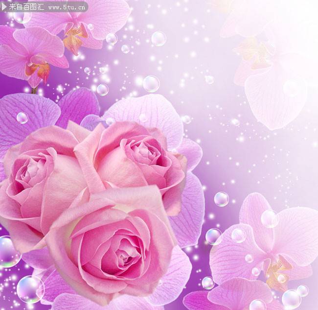唯美花朵卡通背景图片欣赏