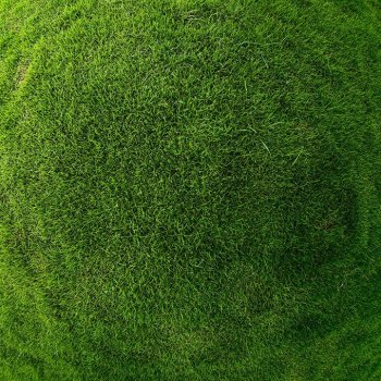 小清新ppt背景图片绿色草地素材