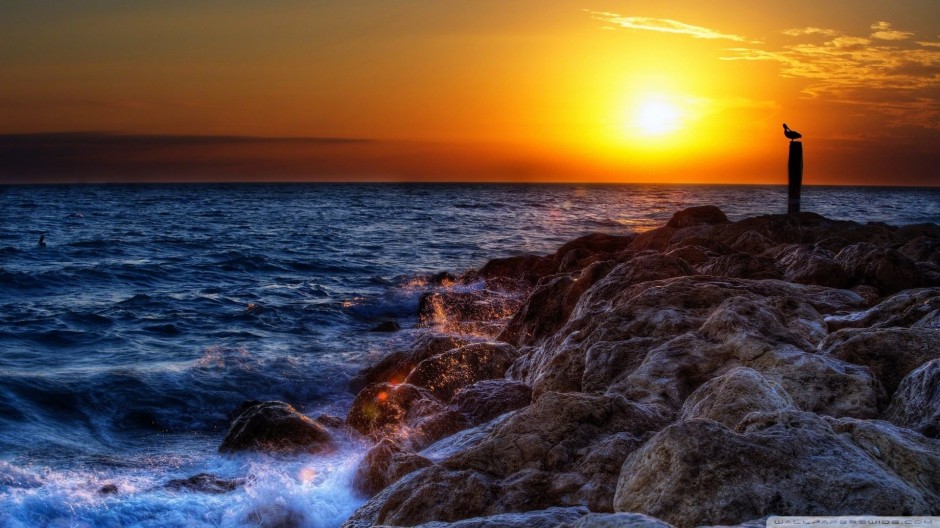 word海岸线夕阳背景图片高清