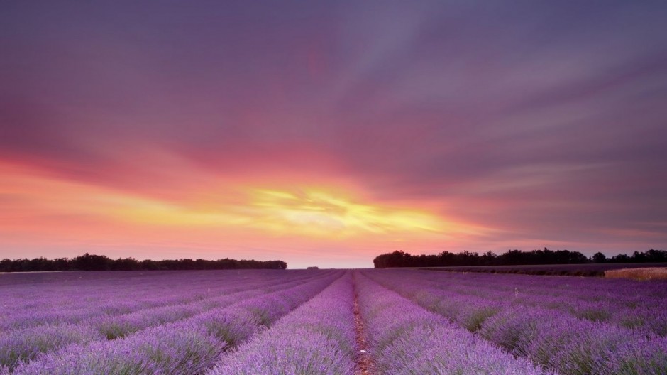 ppt背景图片风景 城市风景赏析