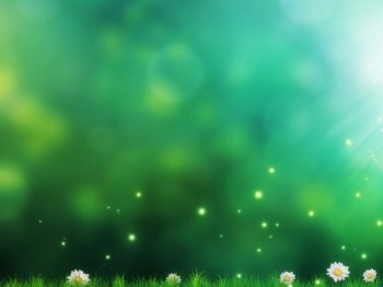 绿色梦幻唯美叶子图片背景图片