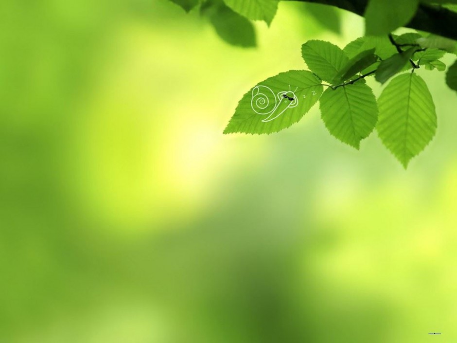绿色梦幻唯美叶子图片背景图片